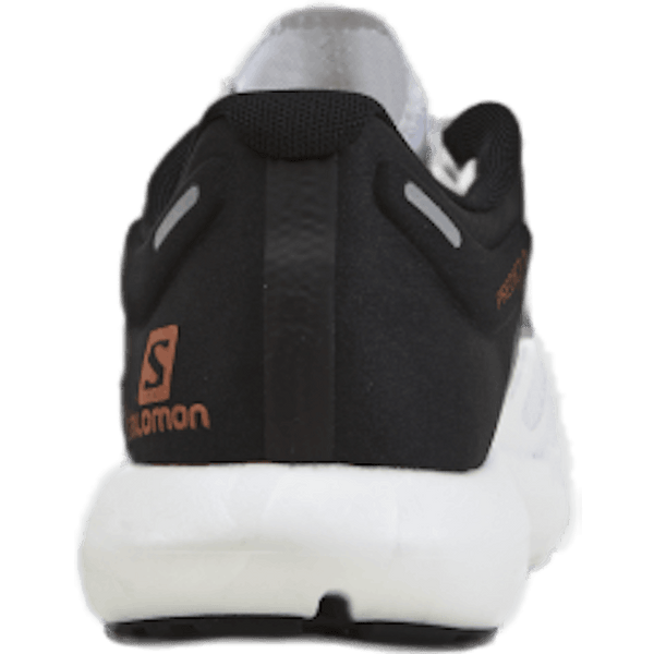 Salomon - Predict 2 White